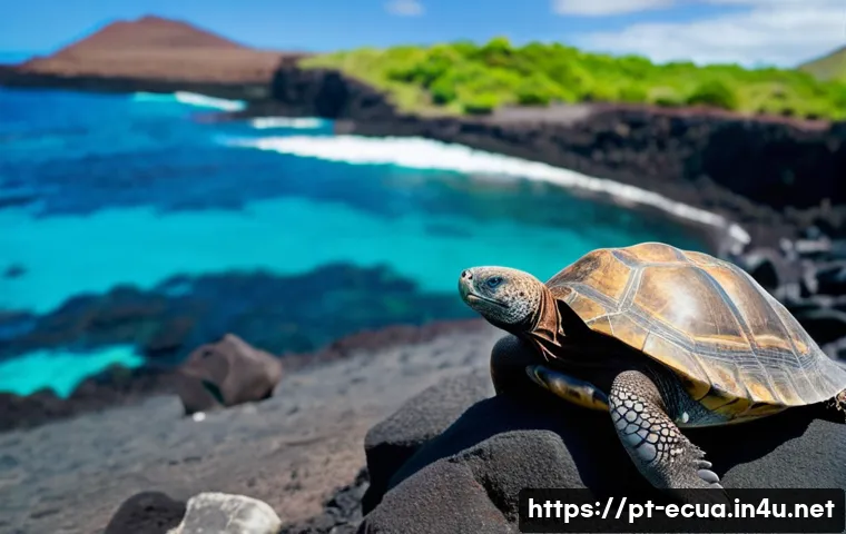 A busca confirma that terms like "belezas naturais," "lugares imperdíveis," "paraísos naturais," "incríveis," and "tirar o fôlego" are commonly used in Portuguese travel content about Ecuador. The content often highlights the diversity of landscapes (Andes, Amazon, Coast, Galápagos) and the unique experiences they offer, emphasizing the country's rich biodiversity and stunning views. This reinforces the idea that a title evoking wonder and discovery would be highly effective for a Portuguese audience. Equador: Os 10 Segredos Naturais Que Vão Deixar Você Sem Fôlego 4 에콰도르 자연경관 베스트 10 관련 이미지 2